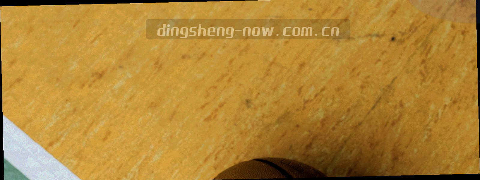 观众席光影与看台线条的横向抽象构图